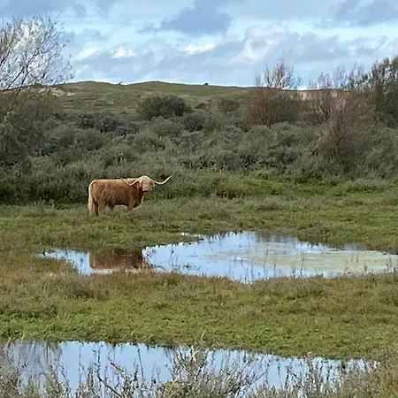 Zomerhuis Flow Egmond aan Zee